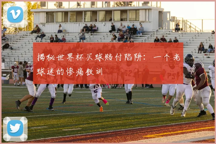 揭秘世界杯买球赔付陷阱：一个老球迷的惨痛教训
