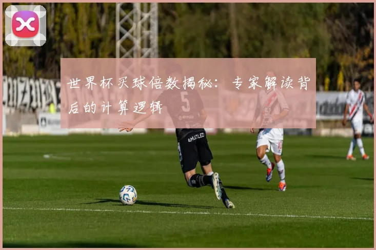 世界杯买球倍数揭秘：专家解读背后的计算逻辑